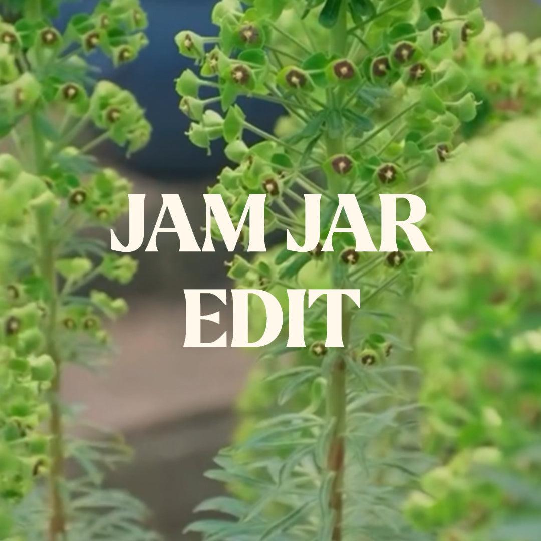 Jam Jar Edit