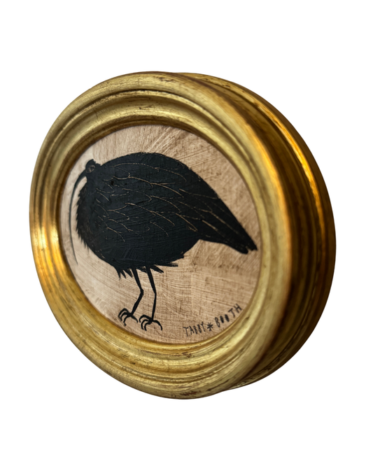 The Curlew