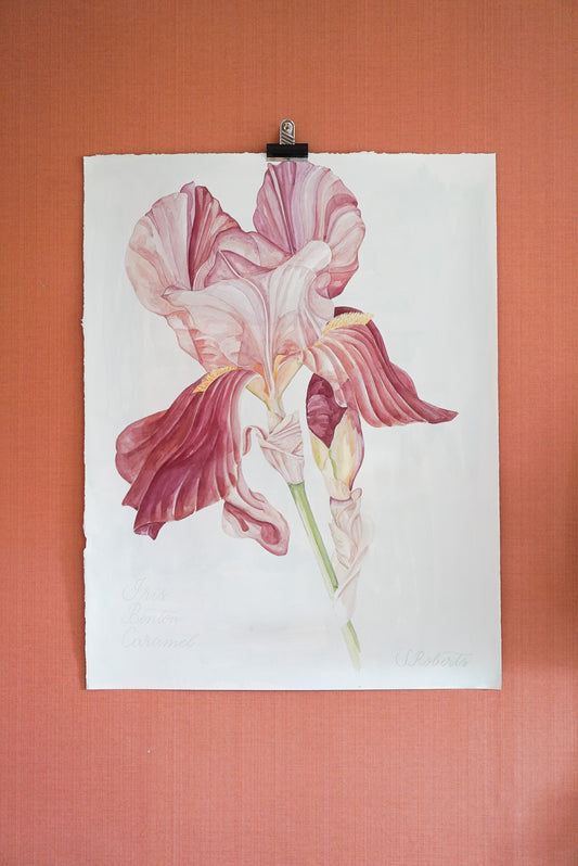 Large Iris Benton Caramel 1