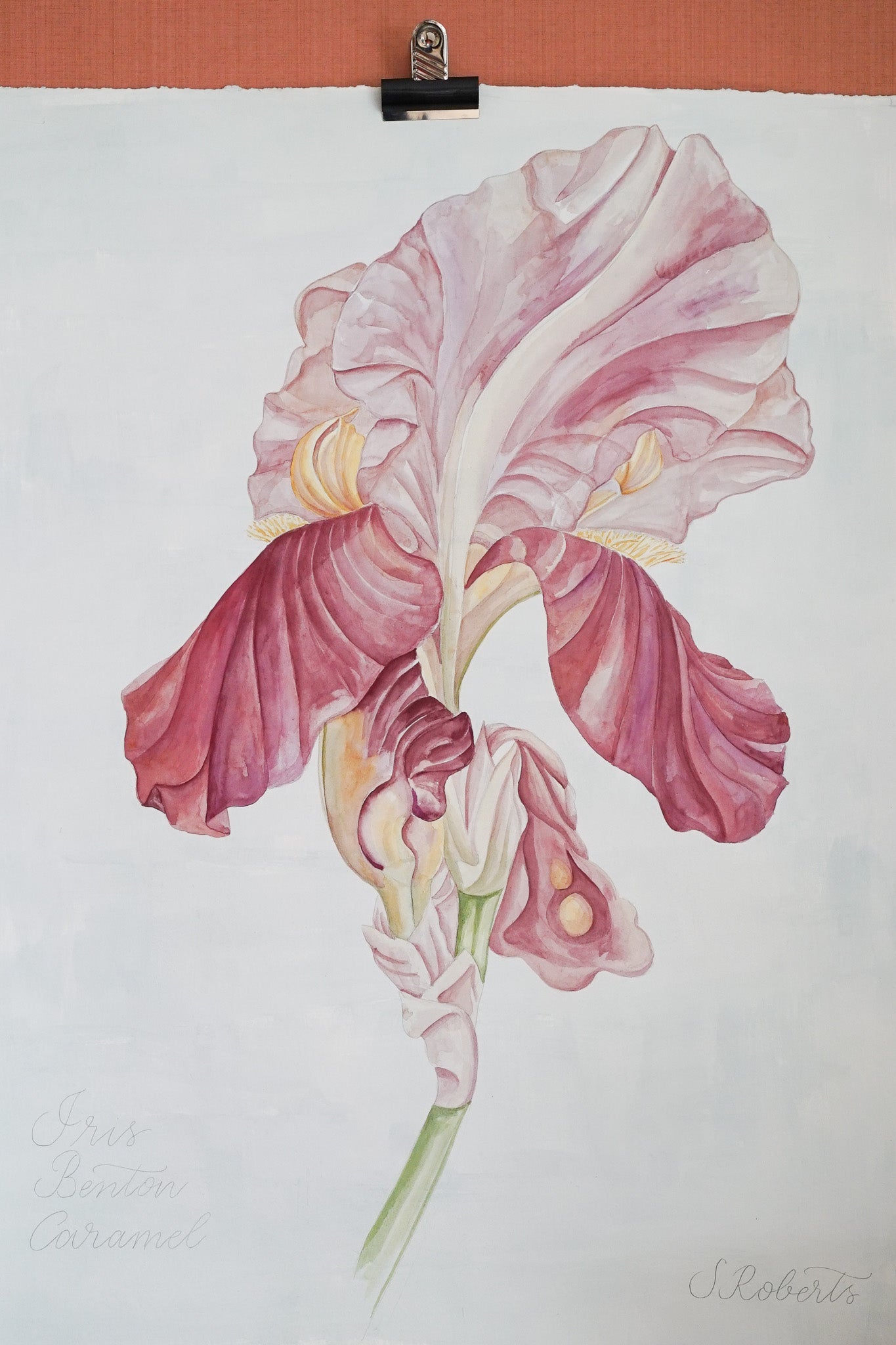 Large Iris Benton Caramel 2