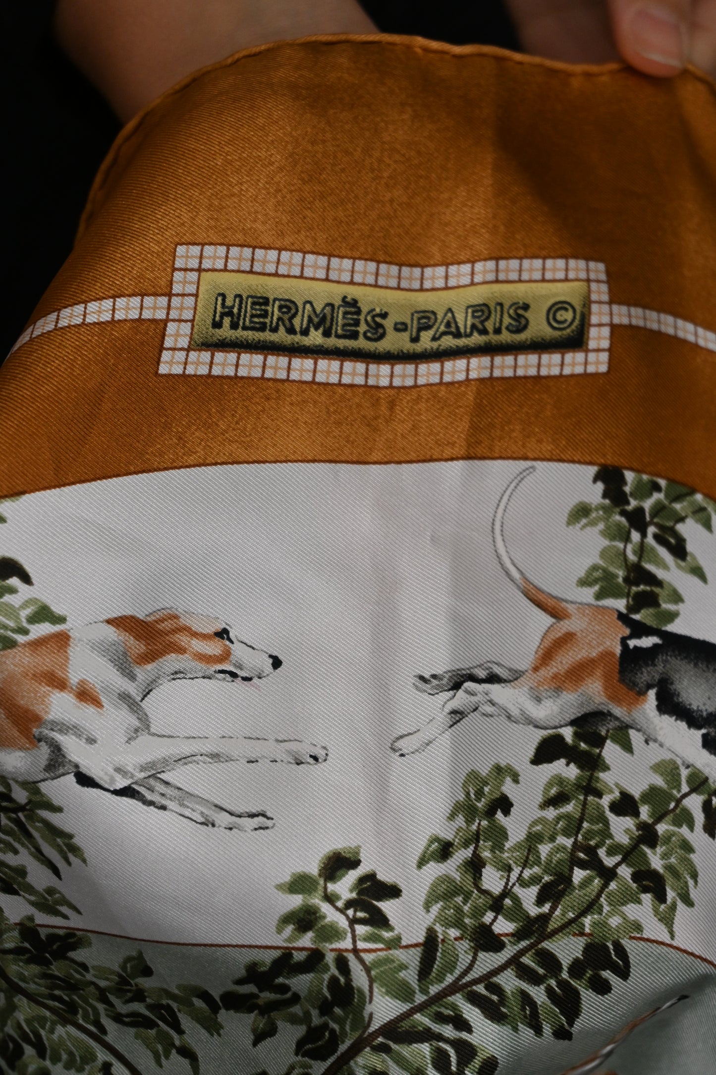 Hermès Silk Scarf - 'Le Toitevin'