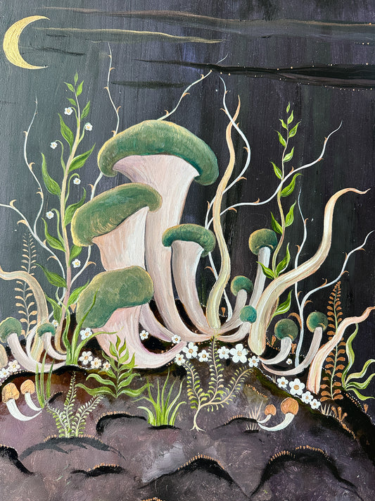 Oyster Mushrooms by Night