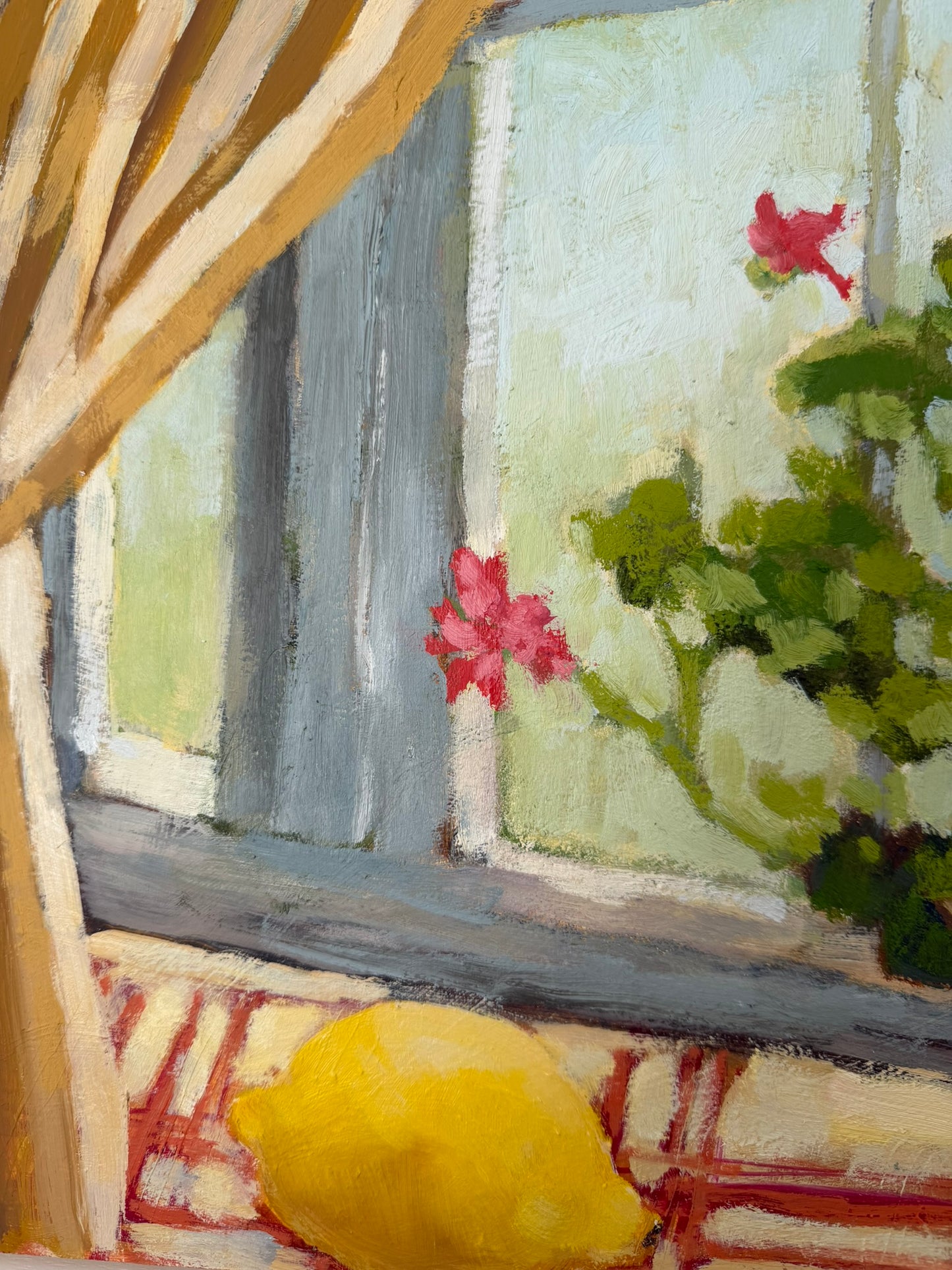 Lemon Scented Pelargonium