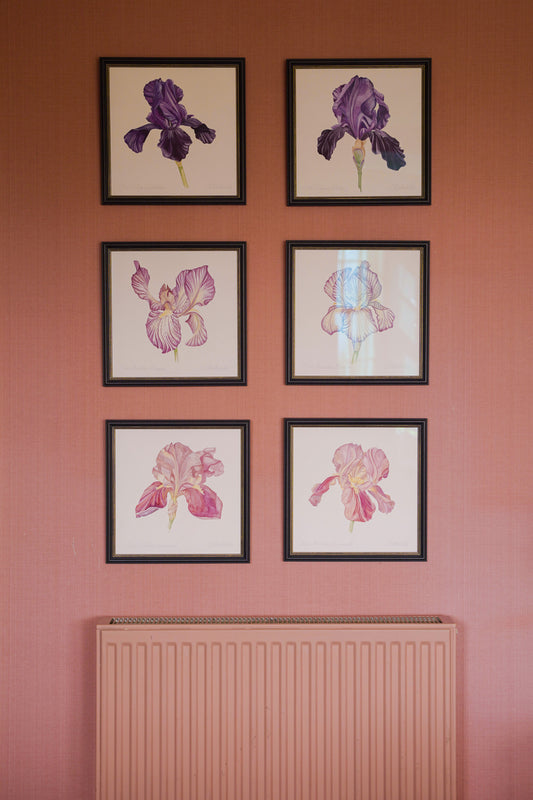 Iris Benton Caramel 1