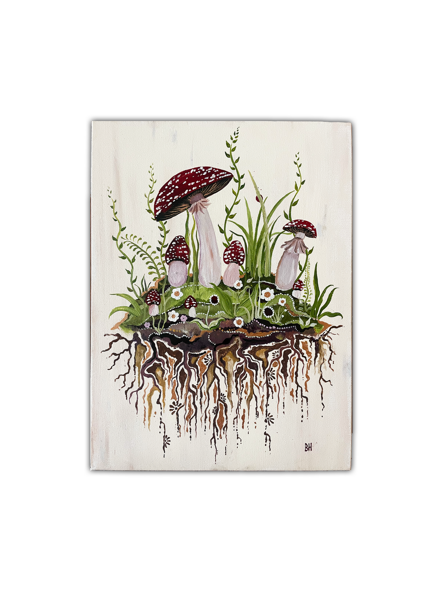Amanita Muscaria