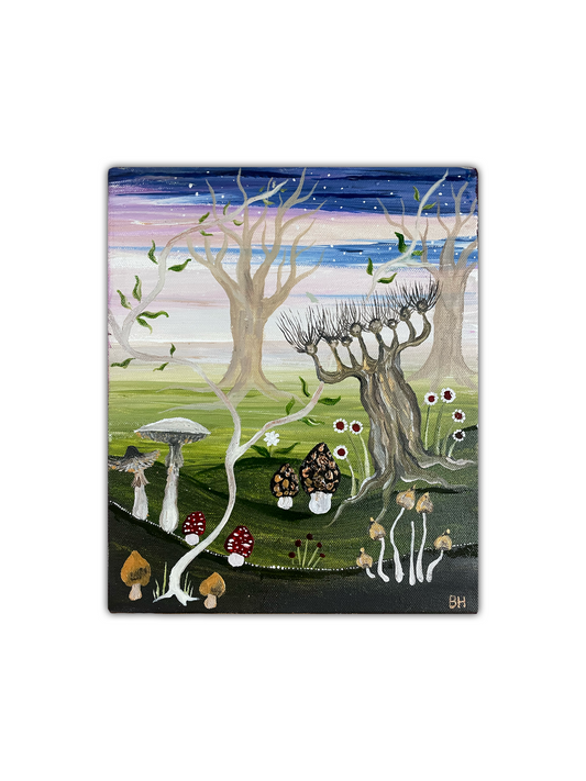 Forest at Twighlight