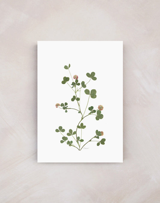 'Clover' Print (A3 Unframed)