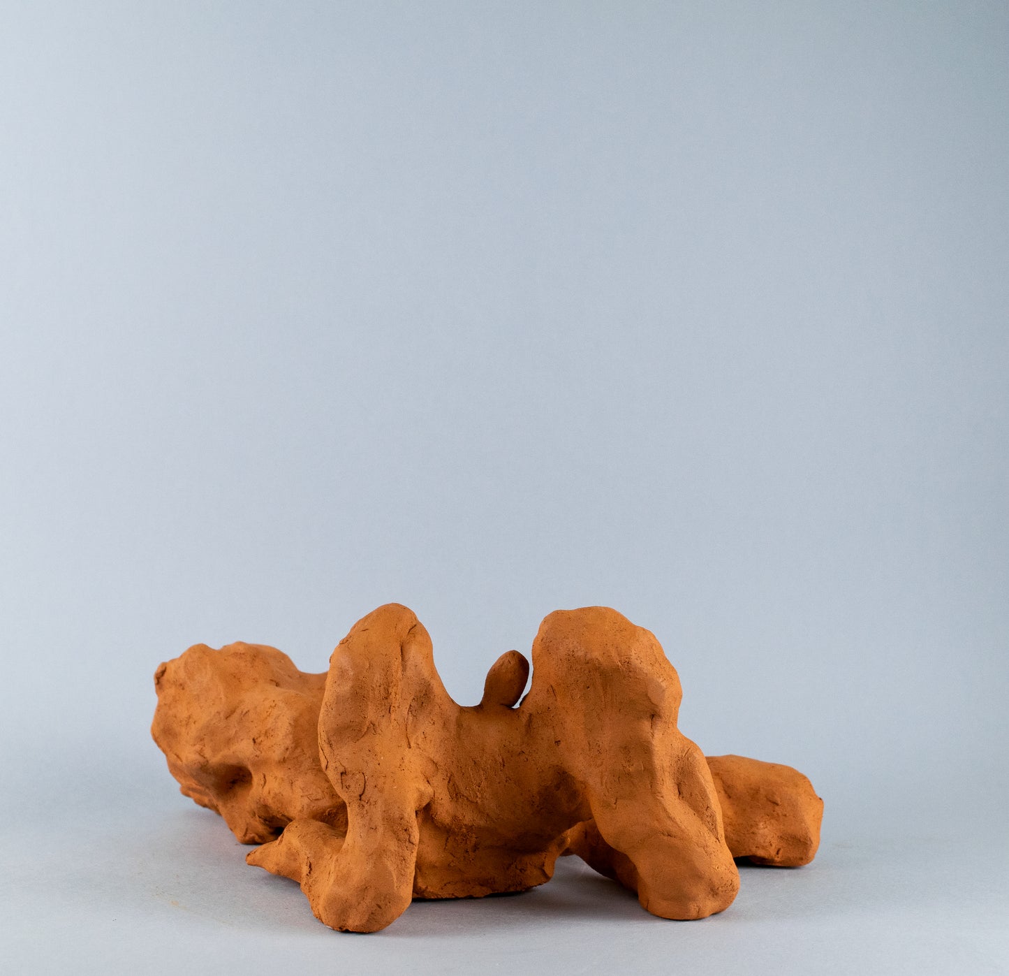 Terracotta Nude
