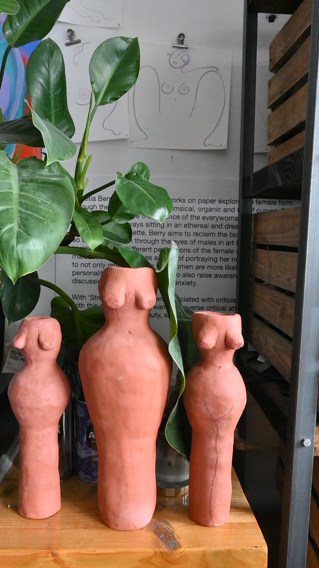Terracotta Body