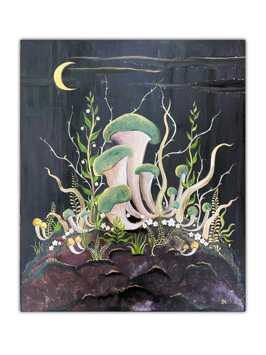 Oyster Mushrooms by Night