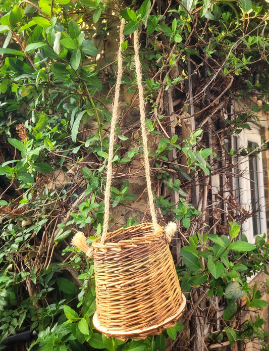 Handwoven willow hanging basket by Ellie Morgan of Woodwoolwillow