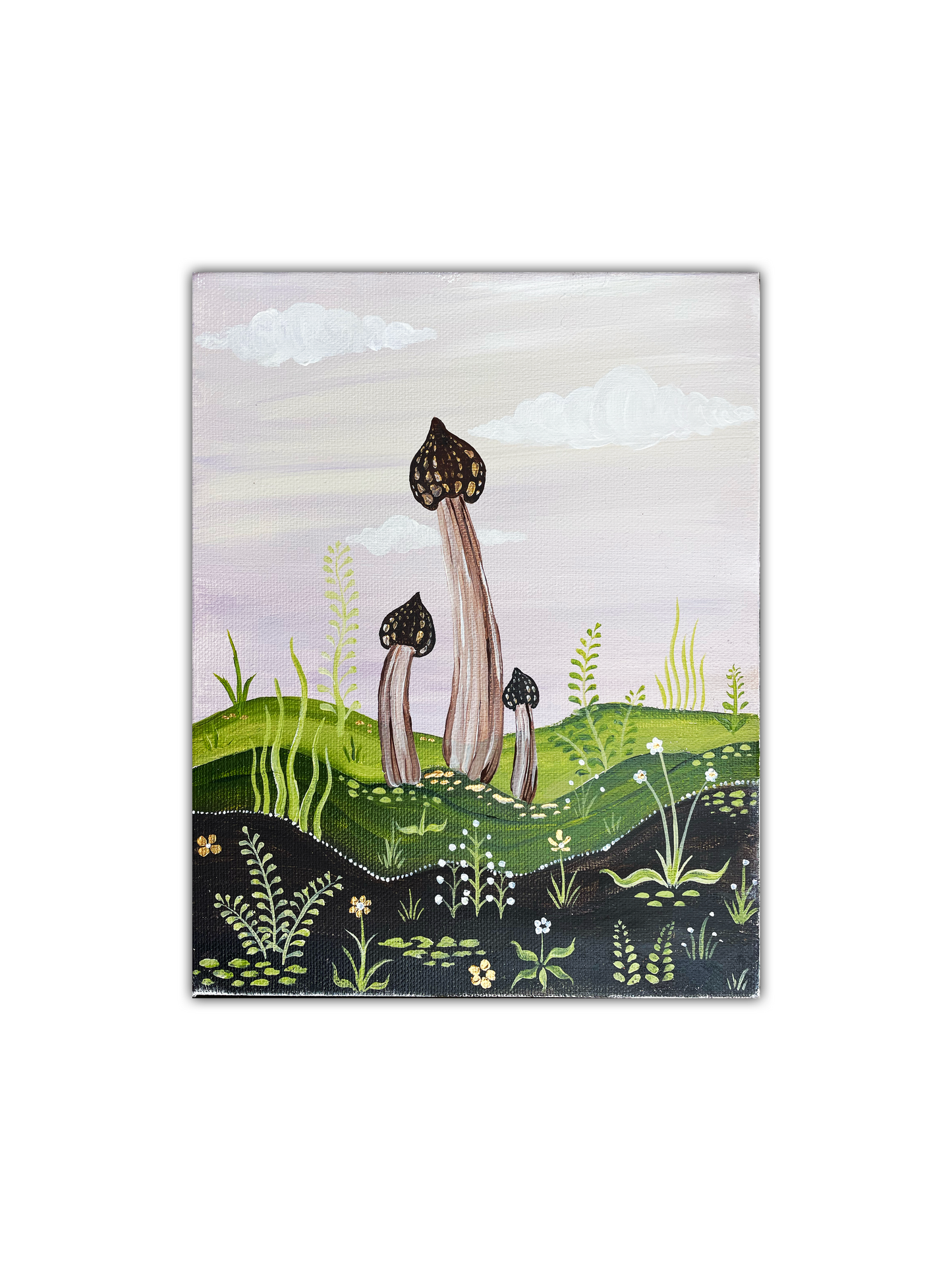Half Free Morel