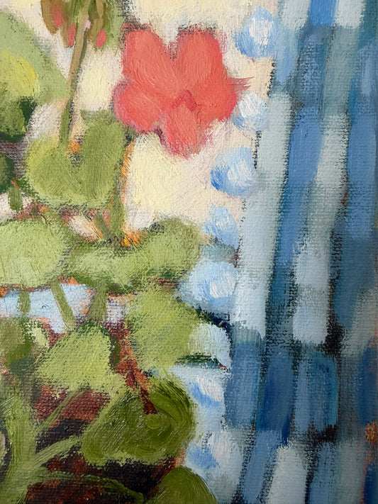 Blue Gingham Geranium