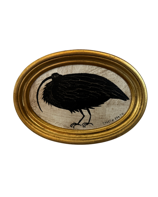 The Curlew