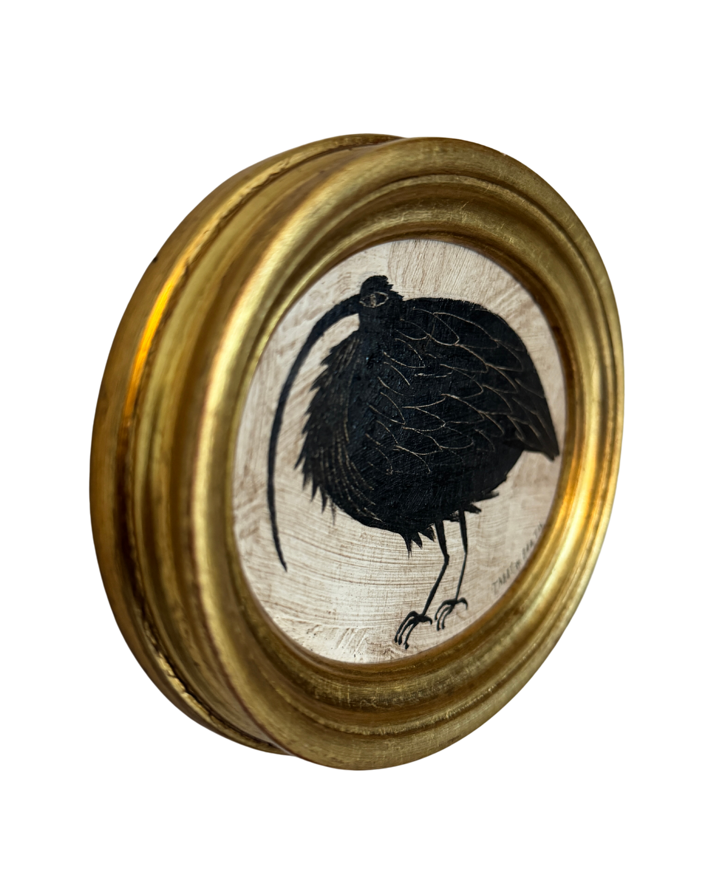 The Curlew