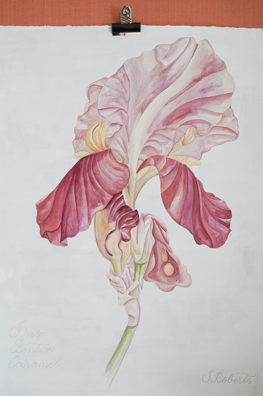 Large Iris Benton Caramel 2