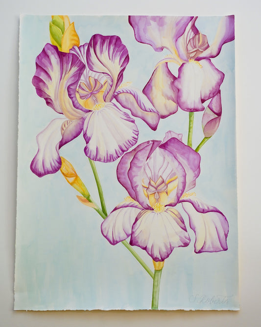Flourish of Large Irises Benton Deidree 2
