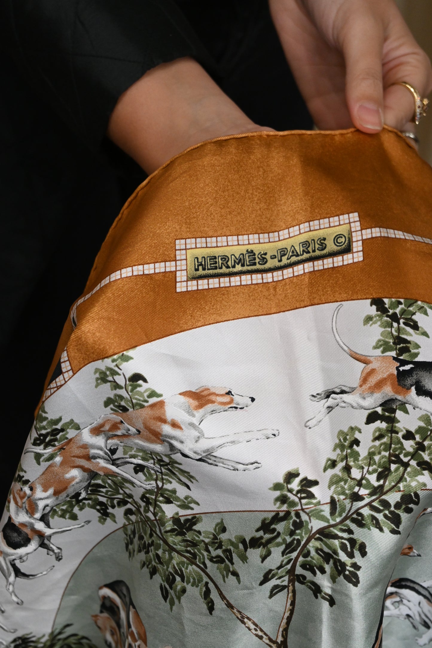 Hermès Silk Scarf - 'Le Toitevin'