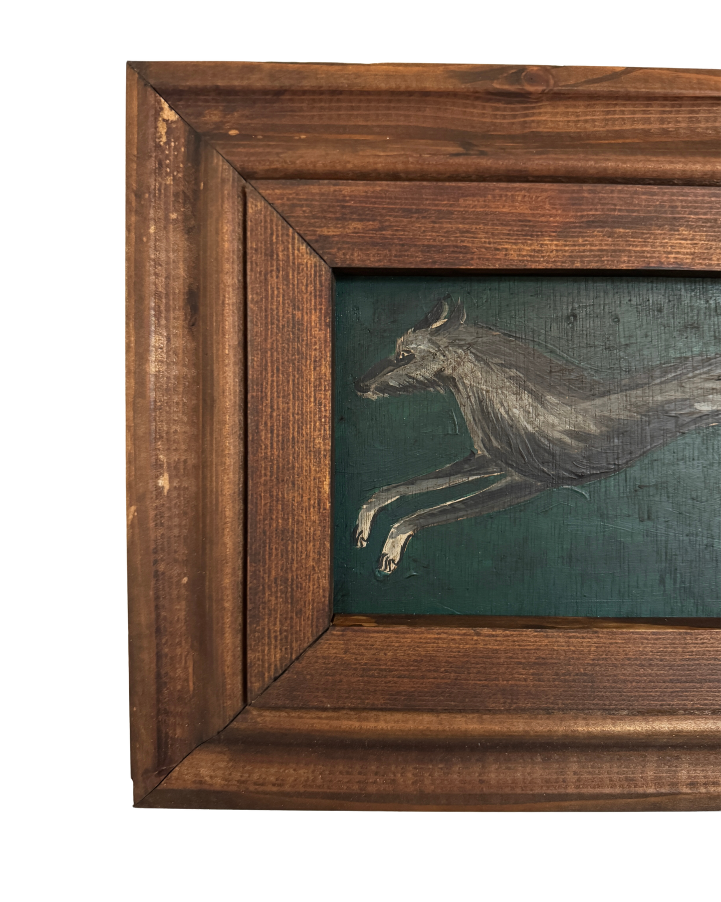 Grey Lurcher Running