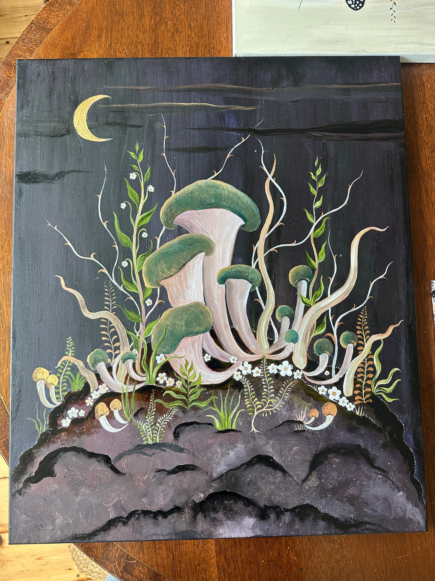 Oyster Mushrooms by Night