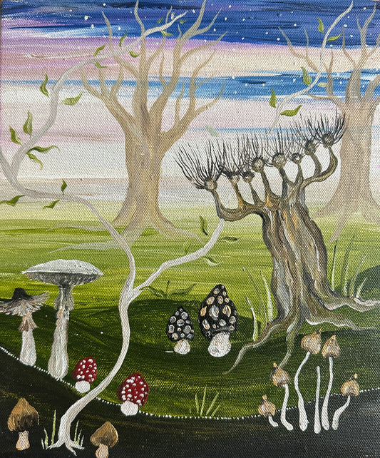 Forest at Twighlight