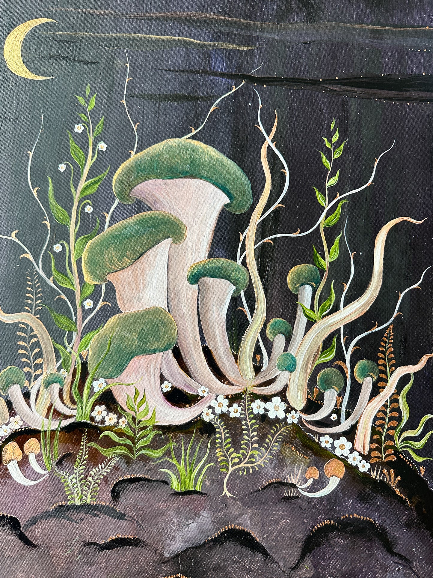 Oyster Mushrooms by Night