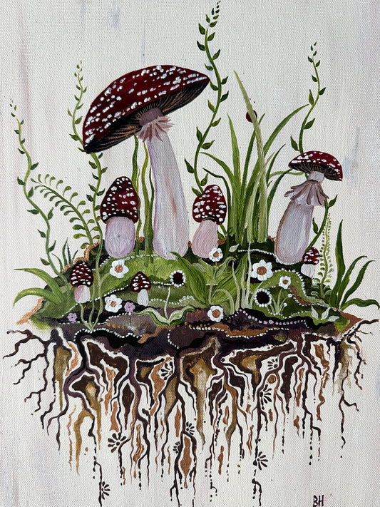 Amanita Muscaria