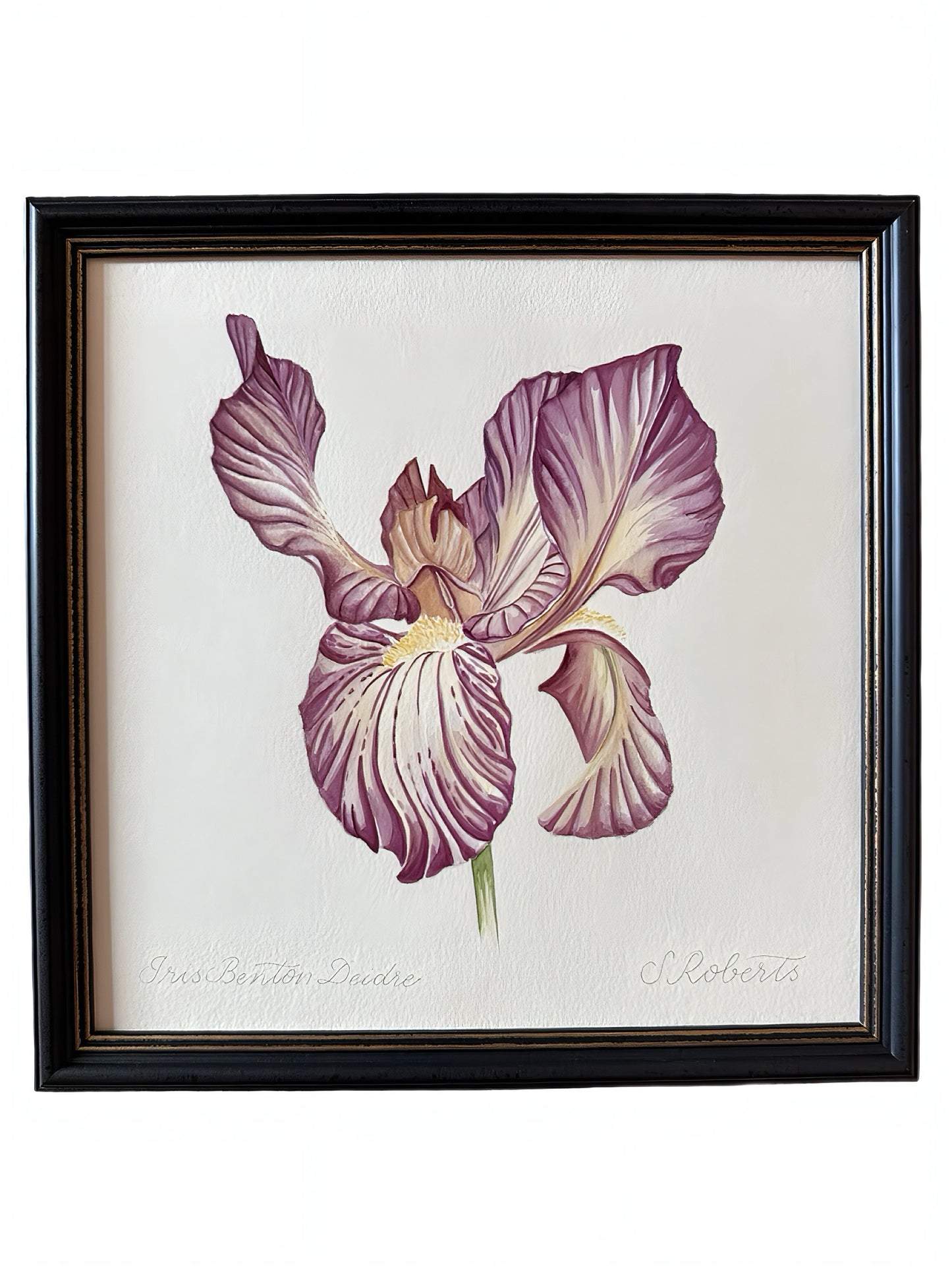 Iris Benton Deidree 2