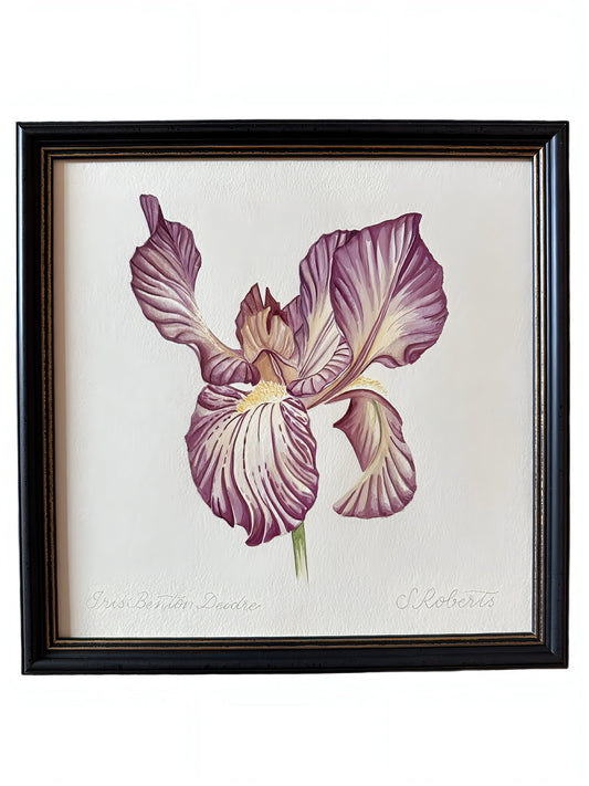 Iris Benton Deidree 2