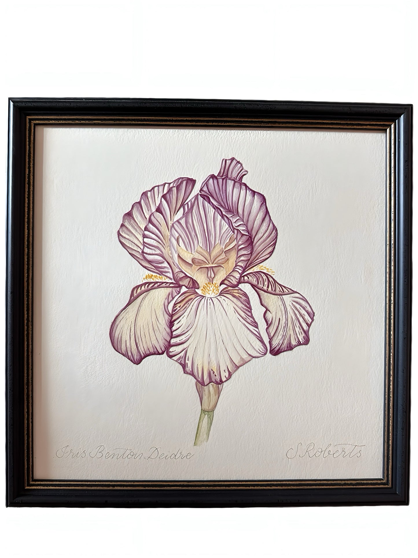 Iris Benton Deidree 1