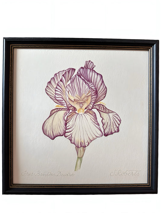 Iris Benton Deidree 1