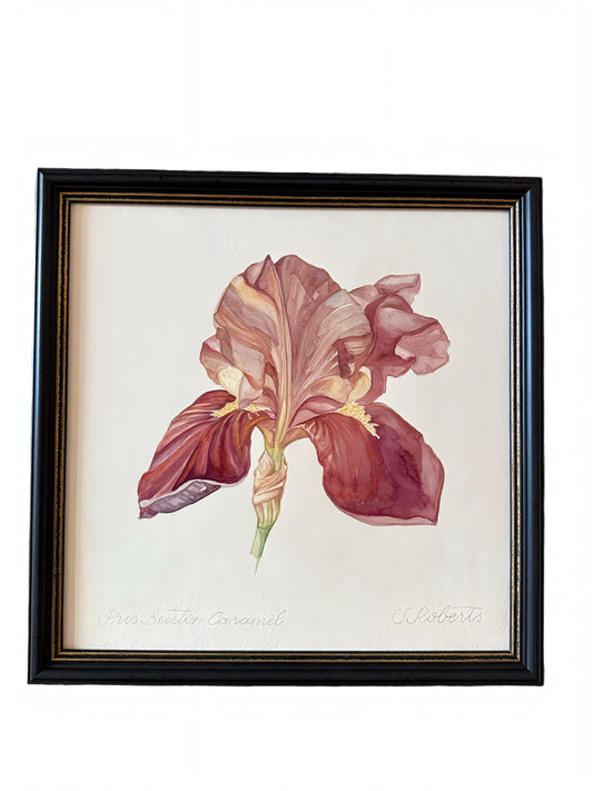 Iris Benton Caramel 2