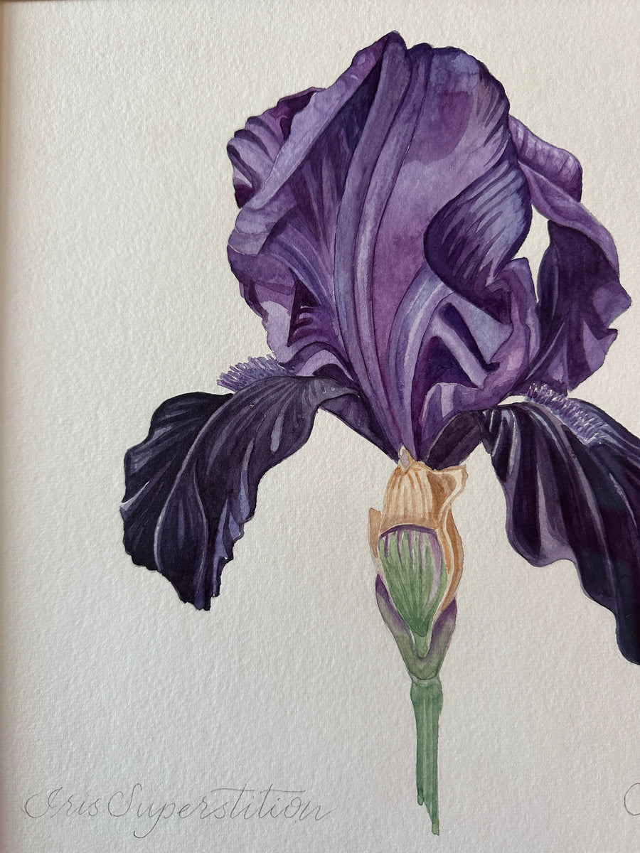 Sophie Roberts hover