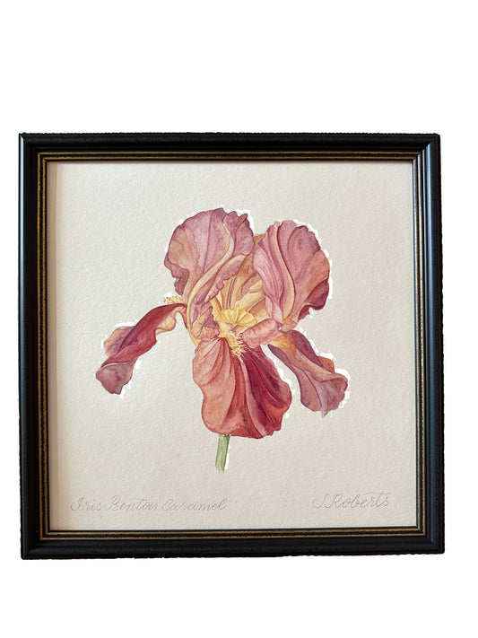 Iris Benton Caramel 1