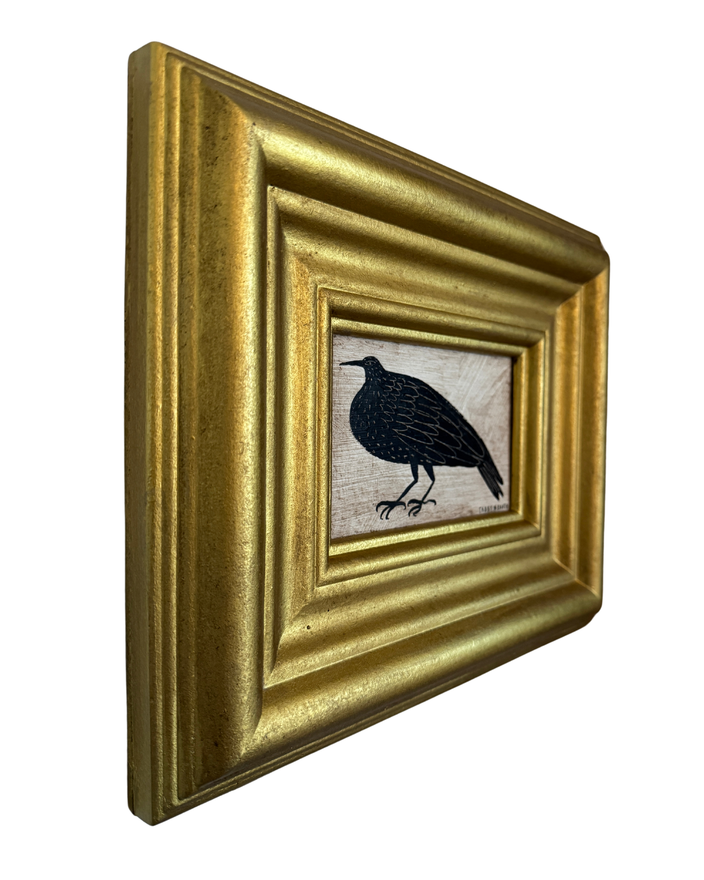 The Starling