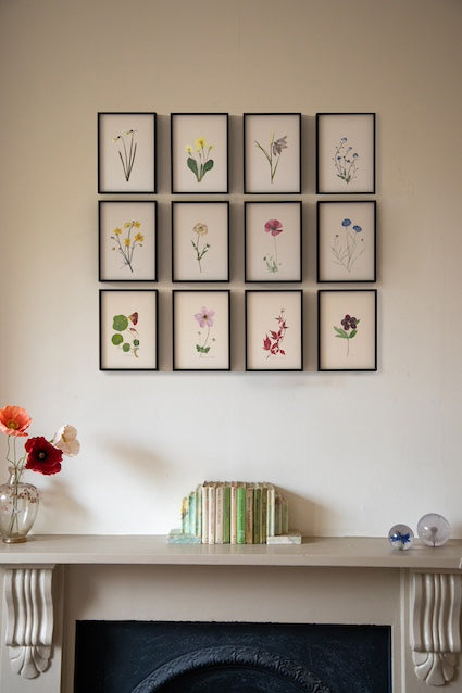Seasonal Pressed Flower Prints: Set of 12