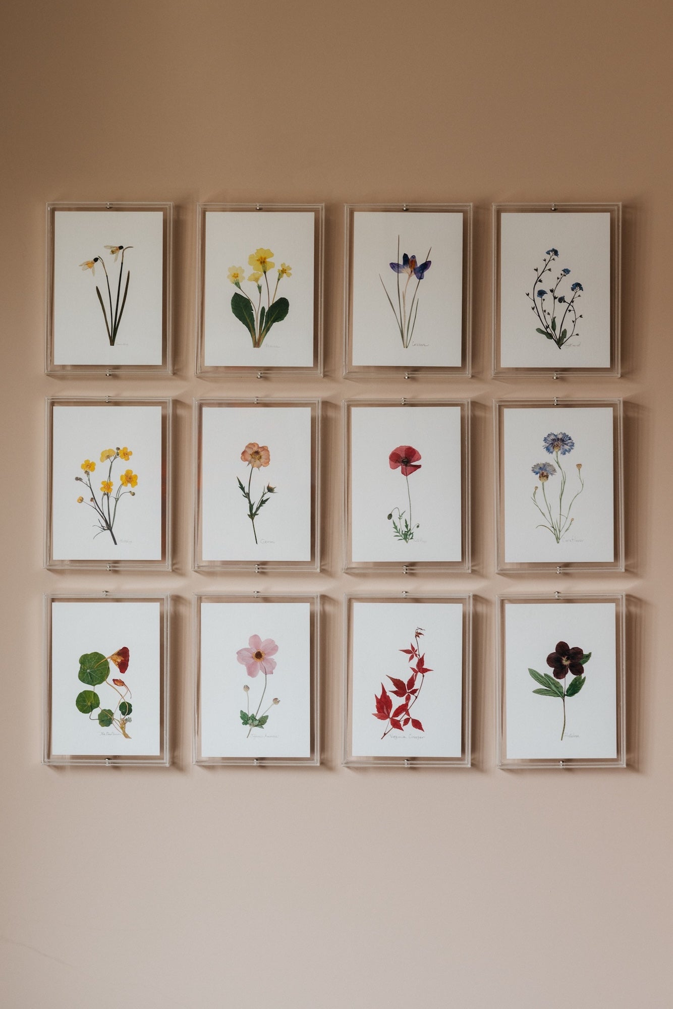 Seasonal Pressed Flower Prints: Set of 12